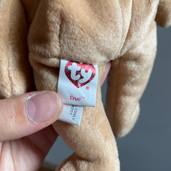 TY Beanie Baby. True the Bear - Picture 4 of 4